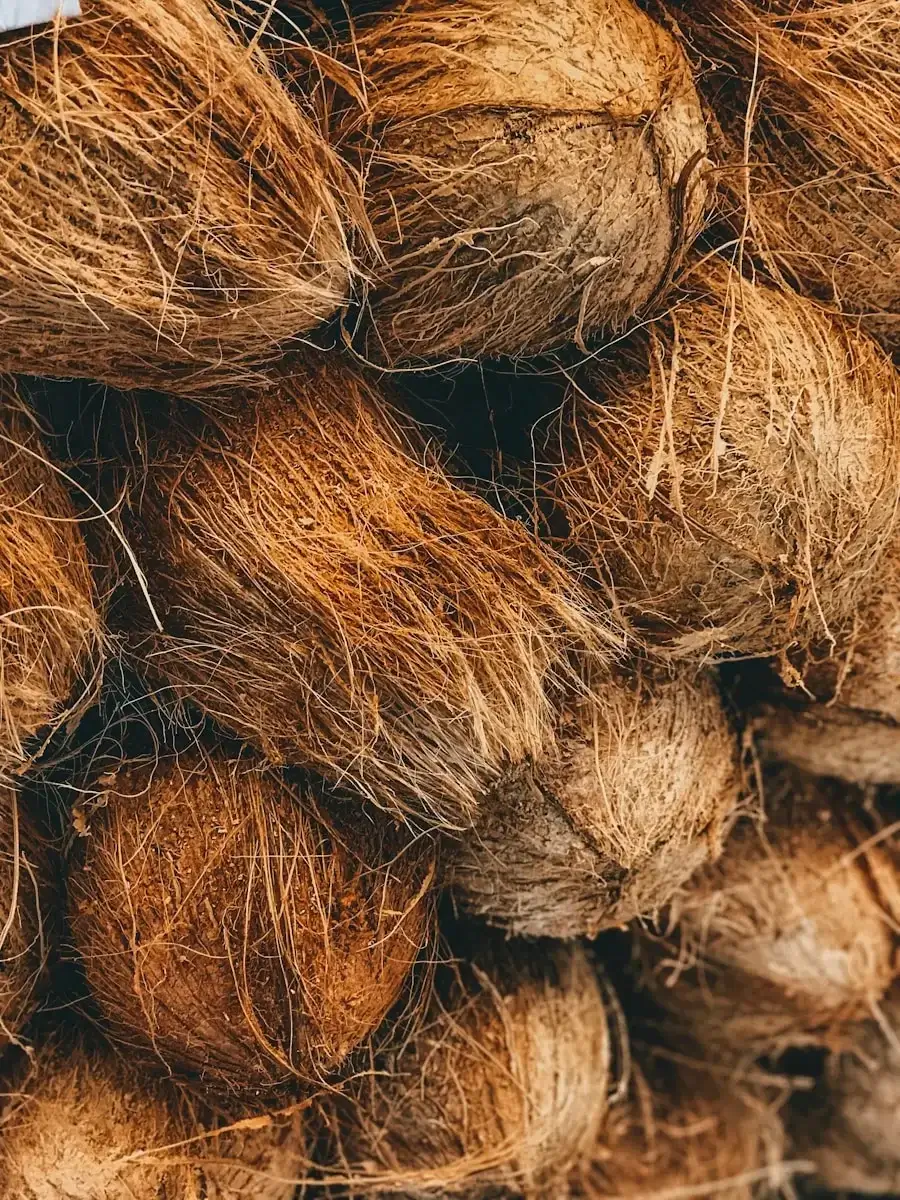 Coconut Shell Activated Carbon Featured Image