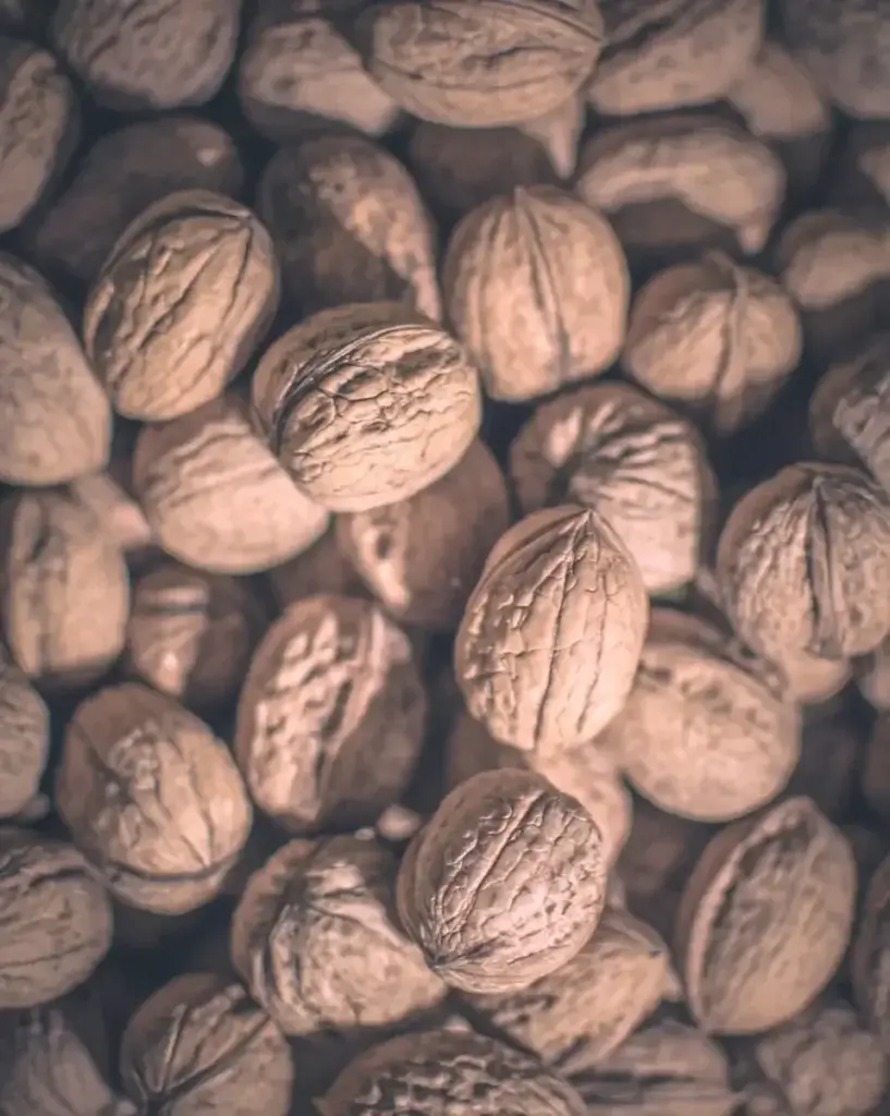 Walnut Shell Activated Carbon Featured Image